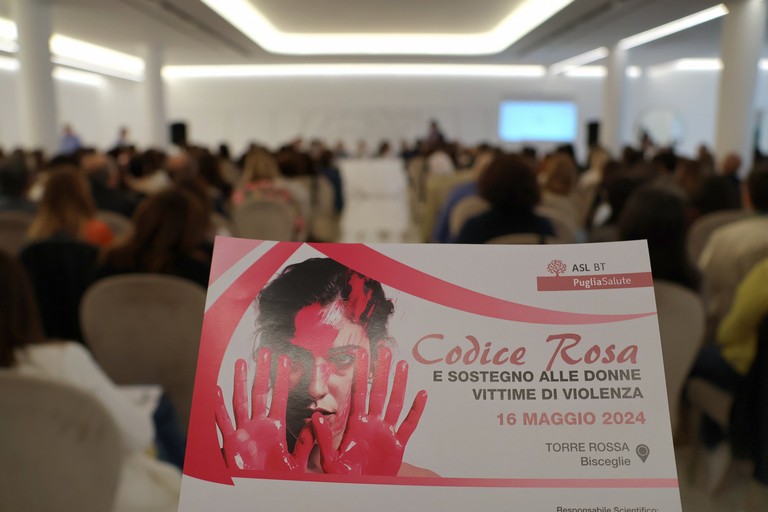 Codice Rosa e sostegno alle donne vittime di violenza 