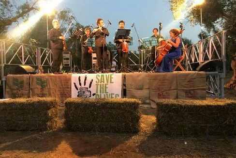 concerto contro la xylella