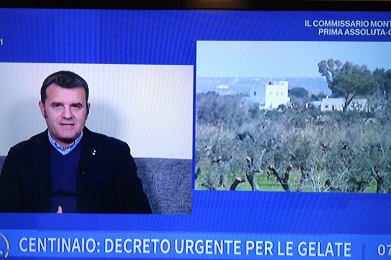 Ministro Centinaio ad UnoMattina su gelate in Puglia