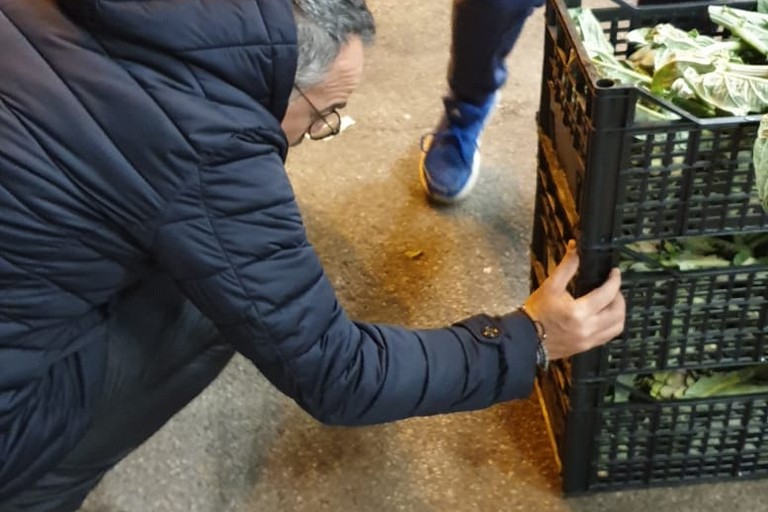 mercato ortofrutticolo, Pierpaolo Matera