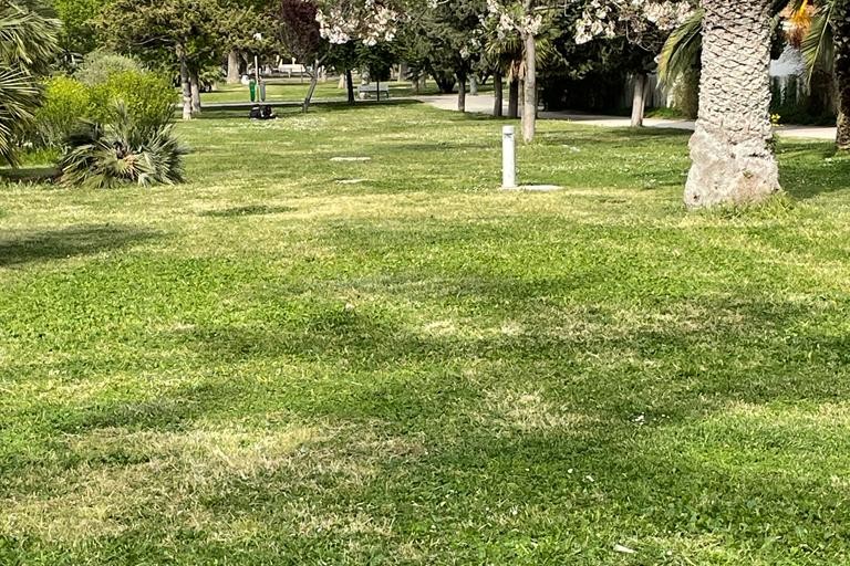 Dalla Puglia un investimento verde: anche Andria al centro del piano di rinaturalizzazione urbana