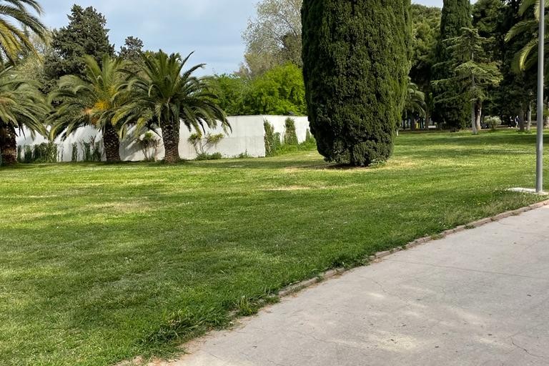 SOS aree verdi in città: Andria tra i centri in Puglia con meno alberi