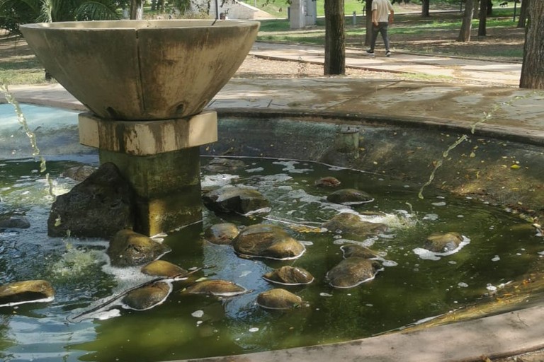 La fontana AVIS presente nella villa comunale di Andria