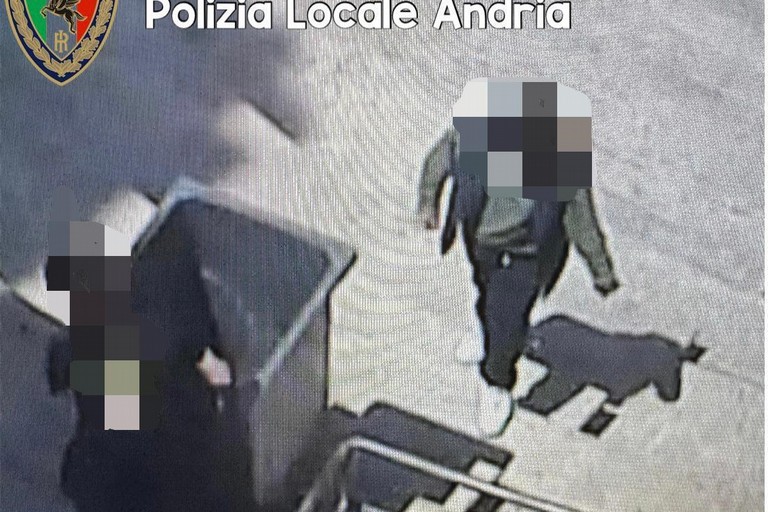 Danneggiati bagni all'Anfiteatro della Villa di Andria