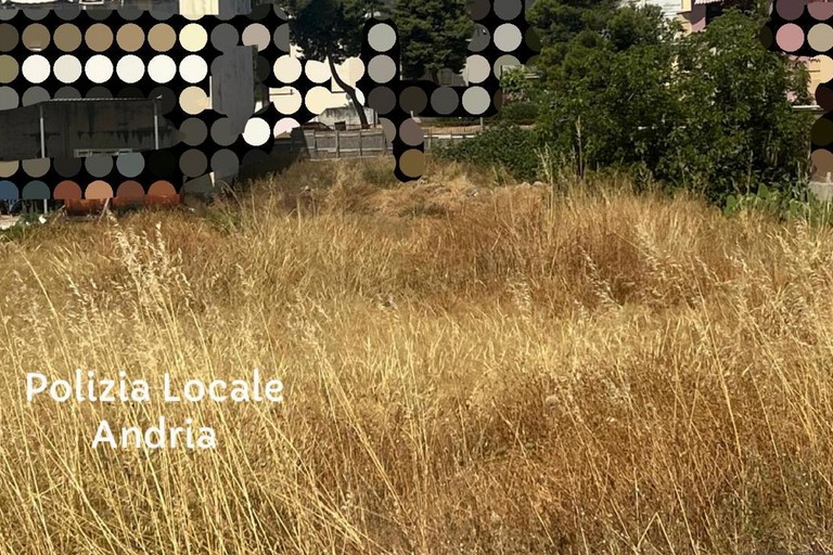 Polizia Locale di Andria: prevenzione incendi