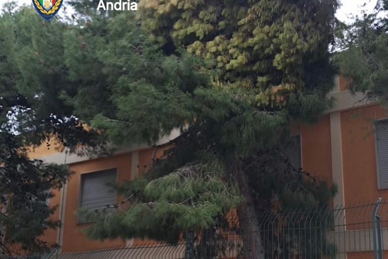 Forti raffiche di vento ad Andria: la Polizia Locale in campo per la sicurezza dei cittadini