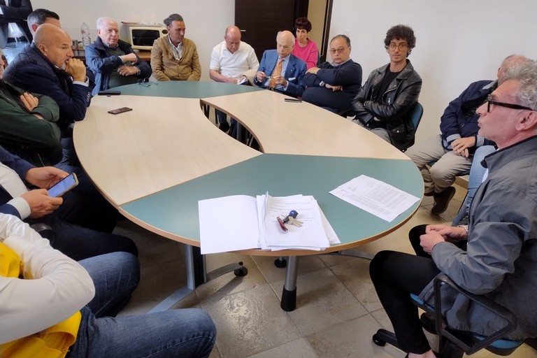 Xylella: il punto della situazione nell'agro di Andria