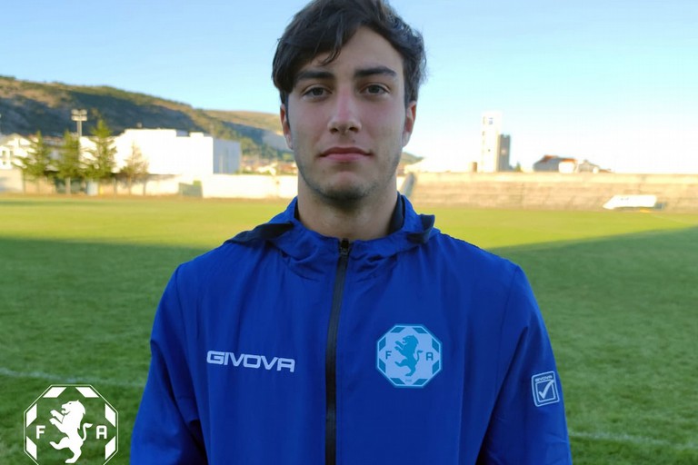 zammit lonardelli