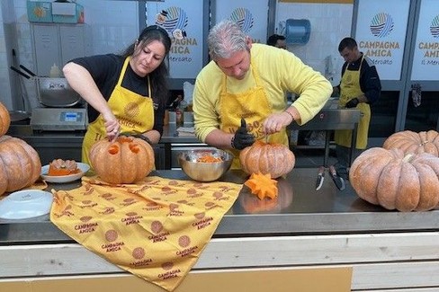 produzione di zucche in Puglia